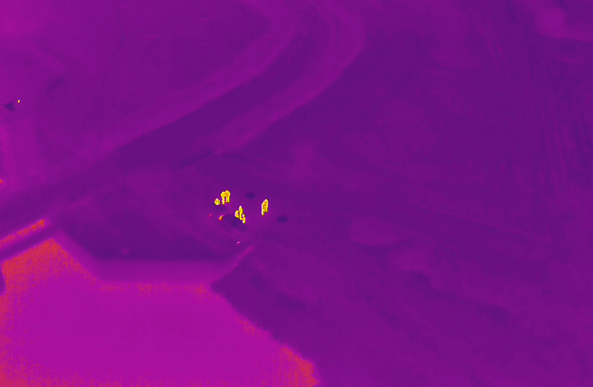 Drone thermal imaging continuous professional development